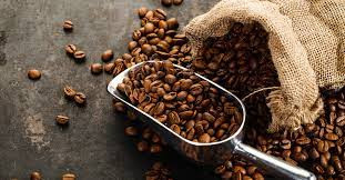 بن عبود